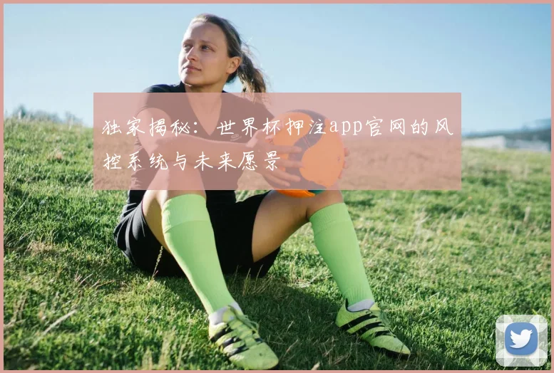 独家揭秘:世界杯押注app官网的风控系统与未来愿景