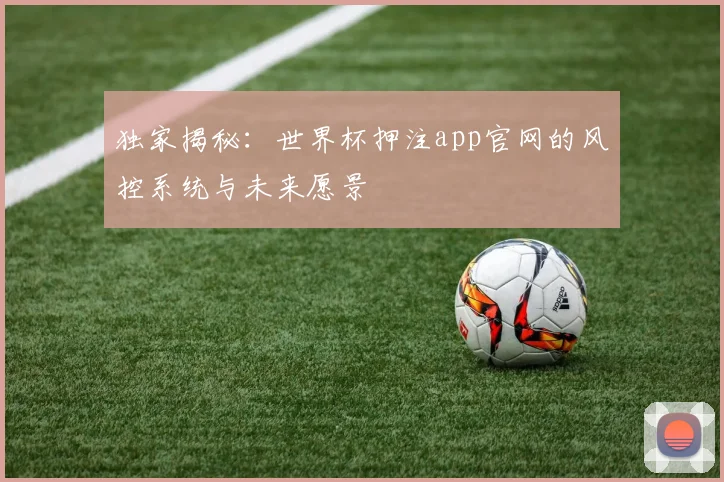独家揭秘:世界杯押注app官网的风控系统与未来愿景