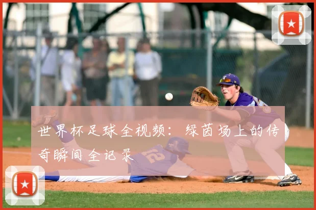 世界杯足球全视频:绿茵场上的传奇瞬间全记录