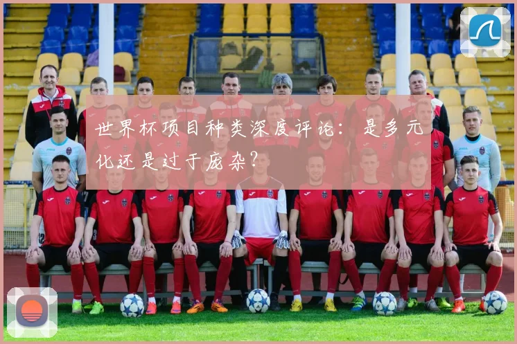 世界杯项目种类深度评论：是多元化还是过于庞杂？