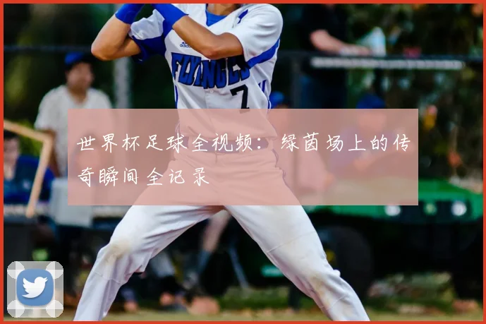 世界杯足球全视频:绿茵场上的传奇瞬间全记录