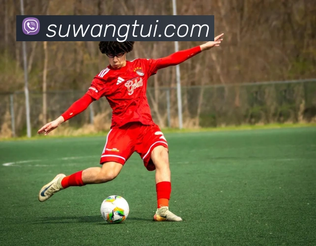 三亿体育官网登录入口APP 高清赛事图